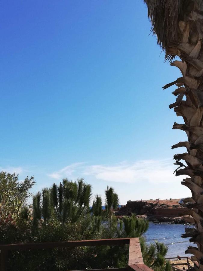 Perfect For Exploring Local Areas And More Torrevieja Bagian luar foto