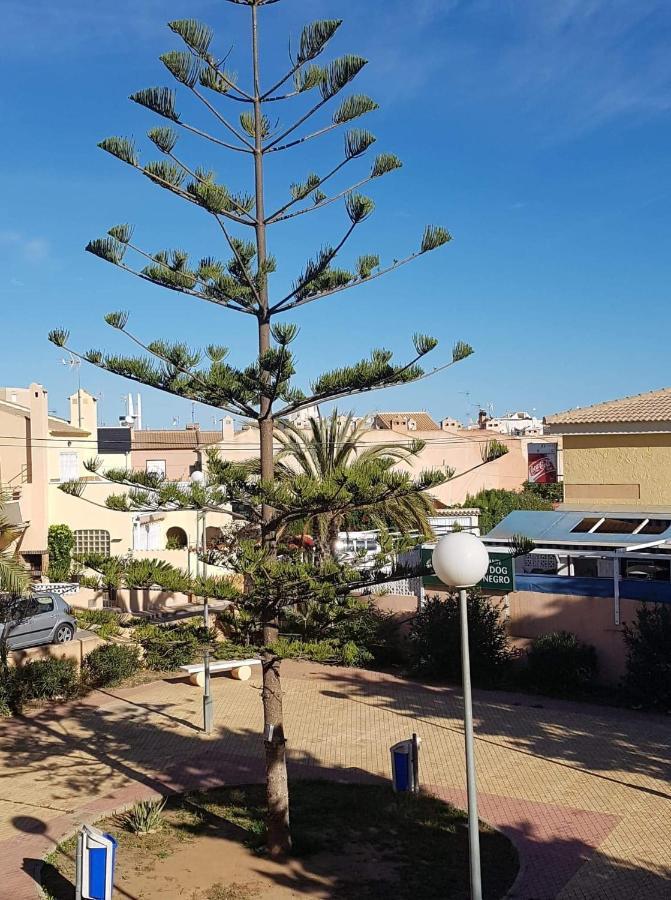 Perfect For Exploring Local Areas And More Torrevieja Bagian luar foto