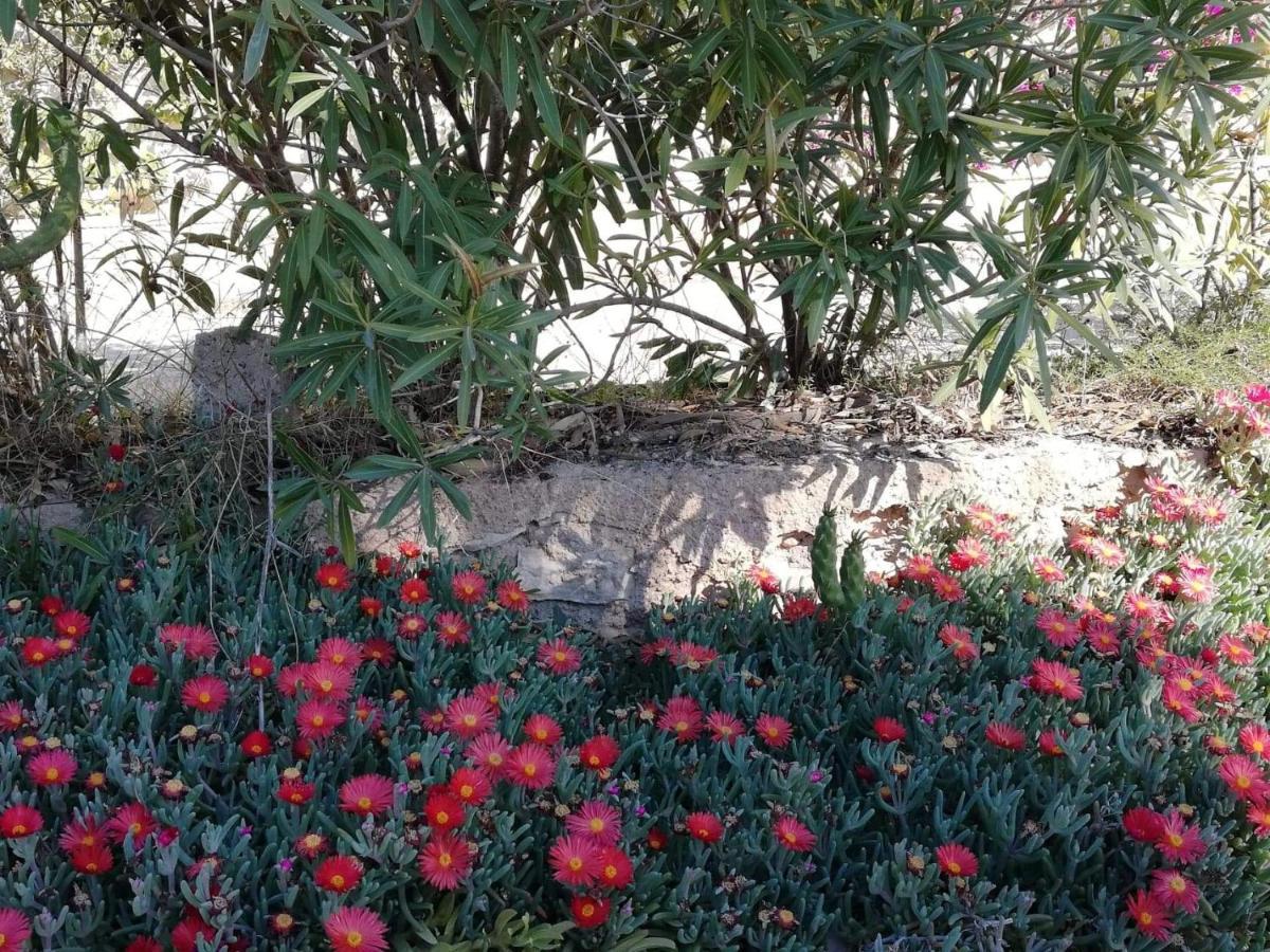 Perfect For Exploring Local Areas And More Torrevieja Bagian luar foto