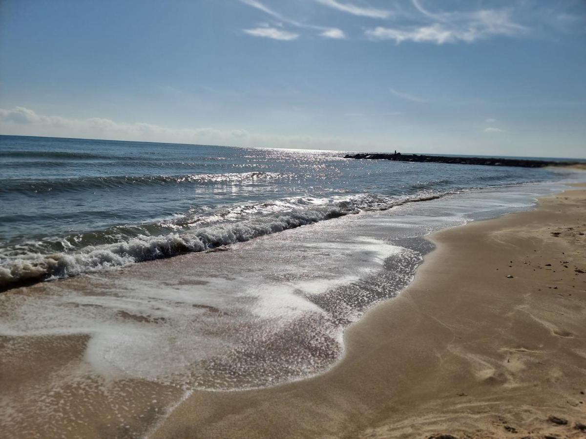Perfect For Exploring Local Areas And More Torrevieja Bagian luar foto